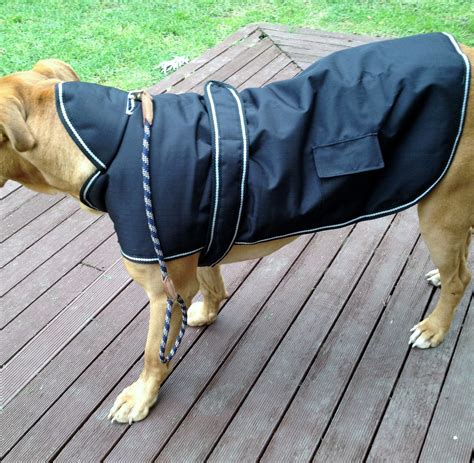 dog jacket waterproof hooded large petlovers nz
