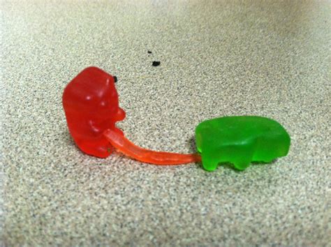 one of my gummy bears was very well endowed i couldn t resist [oc] [1936 x 2592] imgur