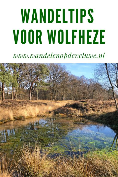 wandelen  nederland de leukste wandelroutes en wandeltips anwb artofit