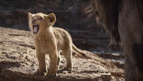 the lion king becomes disney s fourth movie to cross 1 billion in 2019
