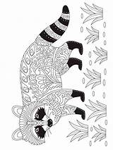 Raccoon Animal Zentangle Mycoloring Woojr Coloringbay Skunk sketch template