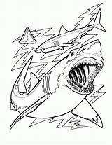 Tiburones Shark Rekin Kolorowanki Sharks Sharknado Ocean Bestcoloringpagesforkids Niños Tiburón Reales Wydruku Clark Printables Misterart sketch template