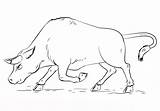Bull sketch template