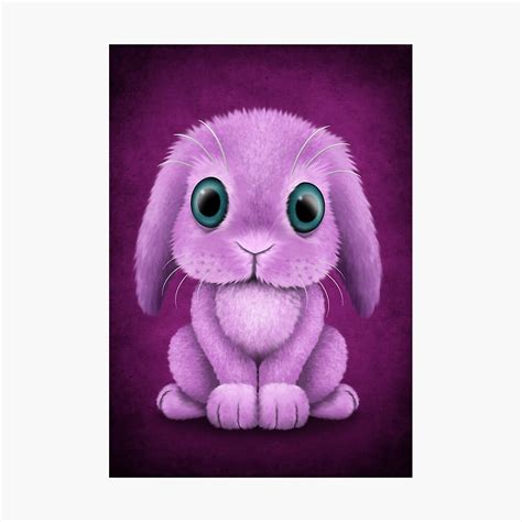 cute purple baby bunny rabbit photographic print  jeffbartels