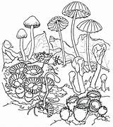 Mushroom Coloring Pages Magic Trippy Getcolorings Colo sketch template