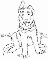 German Shepherd Coloring Puppy Printable Today sketch template