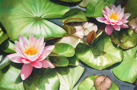 Exclusive Watercolor Flower Paintings Weneedfun