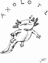 Axolotl Coloring Designlooter Furiarossaandmimma Pose Deviantart 69kb Drawings sketch template