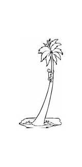 Coconut Coloring Palms Palm Boy Some sketch template