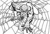 Spider Coloring Pages Man Kids Cool2bkids Printable sketch template