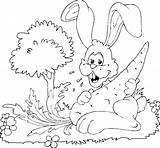 Rabbit Coloring Pages Carrot Animal Big Friends sketch template