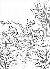 Thumper Bambi Coloring Flower Comments sketch template