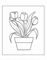 Tulips Rocks sketch template