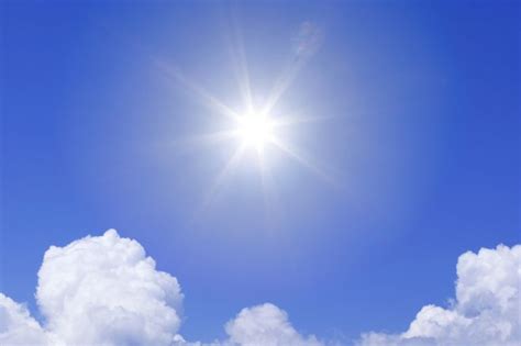 sunlight offers surprise benefit  energizes infection fighting  cells