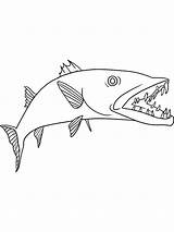 Barracuda Pages Coloring Fish Sketch Template Printable sketch template