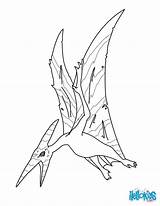 Coloring Pages Pteranodon Pterodactyl Dinosaur Print Flying Dinosaurs Color Online Colour Printable Baby Popular Hellokids Library Clipart Doghousemusic sketch template