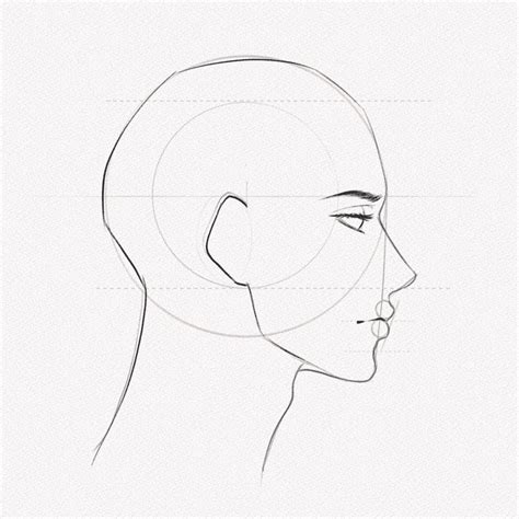 side profile drawing  step  step tutorial artlex