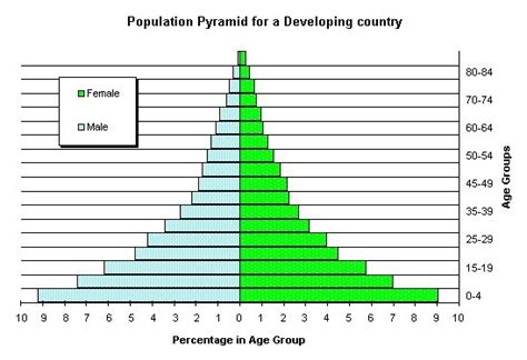 population pyramids heather kellysocials 11