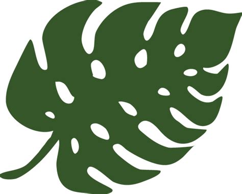 large green leaf  white spots   side   shape