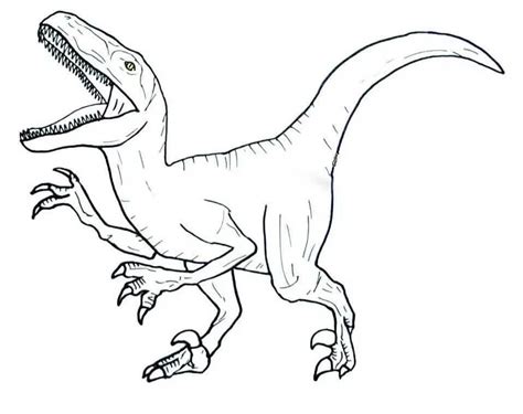 velociraptor  coloring page  printable coloring pages  kids
