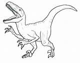 Velociraptor Dinosaure Dinosaur Dessins sketch template