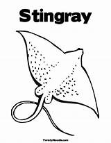 Coloring Stingray Pages Popular Colouring sketch template