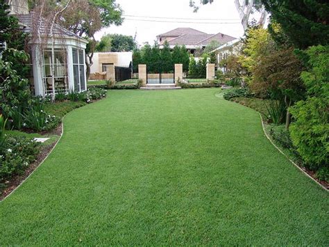 empire zoysia grass supplier brisbane gold coast lawn block
