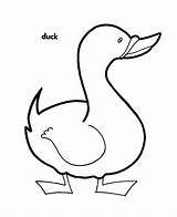 Duck Coloring Pages Kids Printable Ducks Cartoon Cliparts Clipart Bestcoloringpagesforkids Animal Sheets Mighty Clip Print Adult Animals Library Valentine sketch template