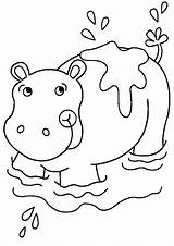 Coloring Printable Hippopotamus Sheet Pages sketch template