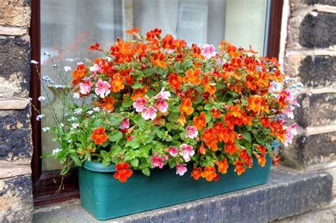 install  window box planter  instant curbside appeal modernize
