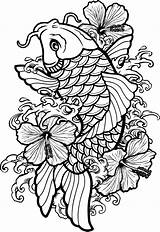 Koi Fish Coy Tattoo Drawing Outline Japanese Pez Para Line Vectors Coloring Pages Hibiscus Tattoos Flower Hawaiian Drawings Clipart Vector sketch template