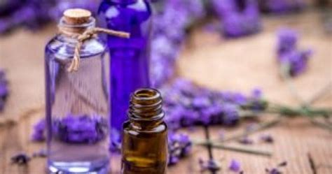 tips memakai minyak lavender  kesehatan  kecantikan