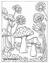 Mushroom Mushrooms Fortuna Pilze Erwachsene Getdrawings Getcolorings Pilz Zenescope Kickstarter Pen Pens Snail Vorlagen Ausmalen 1a sketch template