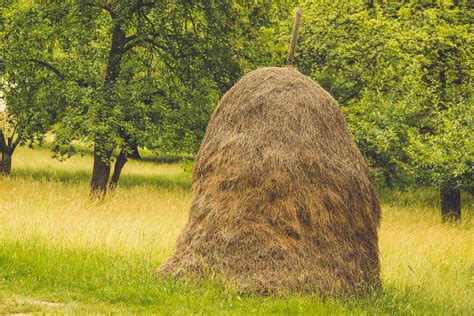 fashioned haystack  stock photo public domain pictures