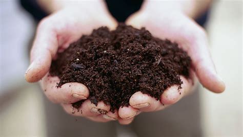 groundbreaking research shows glyphosate persists  soil