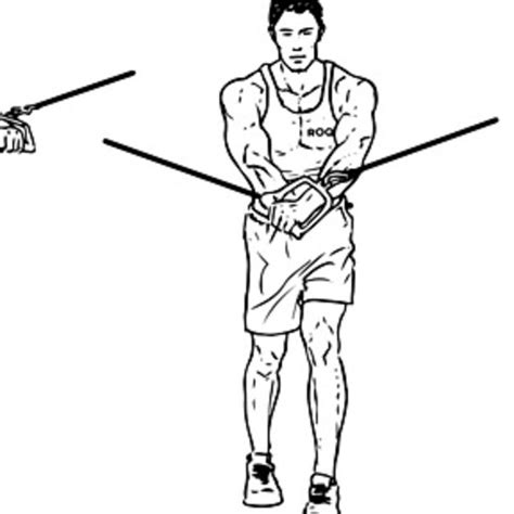 lateral cable fly  exercise   skimble