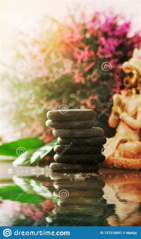 spa massage basalt stones stock image image  relaxation