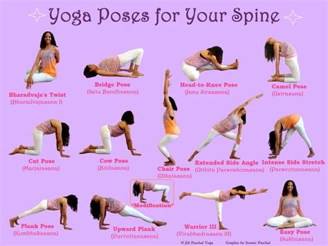 yoga   spine yoga ashtanga healthy spine yoga    pose indian philosophy