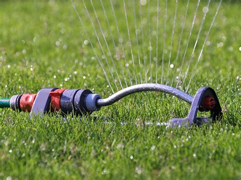 choosing   oscillating sprinkler  watering  lawn