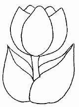 Coloring Tulip Spring sketch template
