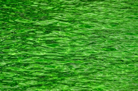 green water ripples background texture  image  needpixcom