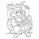 Raccoon Coloring Raccoons sketch template