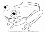 Frog Draw Glass Drawing Step Amphibians Make Animals Tutorials Drawingtutorials101 sketch template