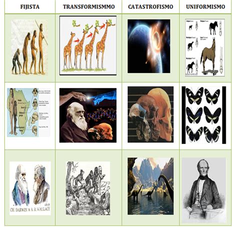 Principios De La Evolución Biologica Teorías De La Evolucion