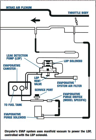 jeep wrangler evap system diagram wiring diagram pictures