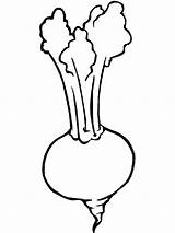 Turnip Coloring Pages Drawing Vegetables Print Printable Template Clipart Gigantic Templates Supercoloring Gif Recommended Radish Paintingvalley Categories Cauliflower sketch template