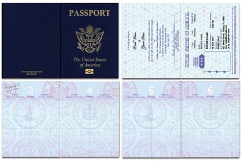 passport picture template  template business format