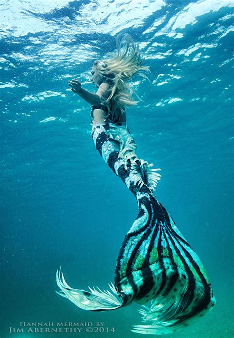 mermaid man siren mermaid mermaid cove mermaid dreams fantasy
