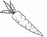 Carrot Clipart Clip Coloring Cliparts Carrots Library Colouring Pages Nice Clipground Kids Gajar Clipartix 2021 Use Favorites Add sketch template