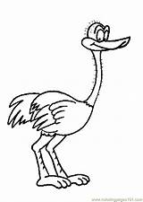 Ostrich Printable sketch template